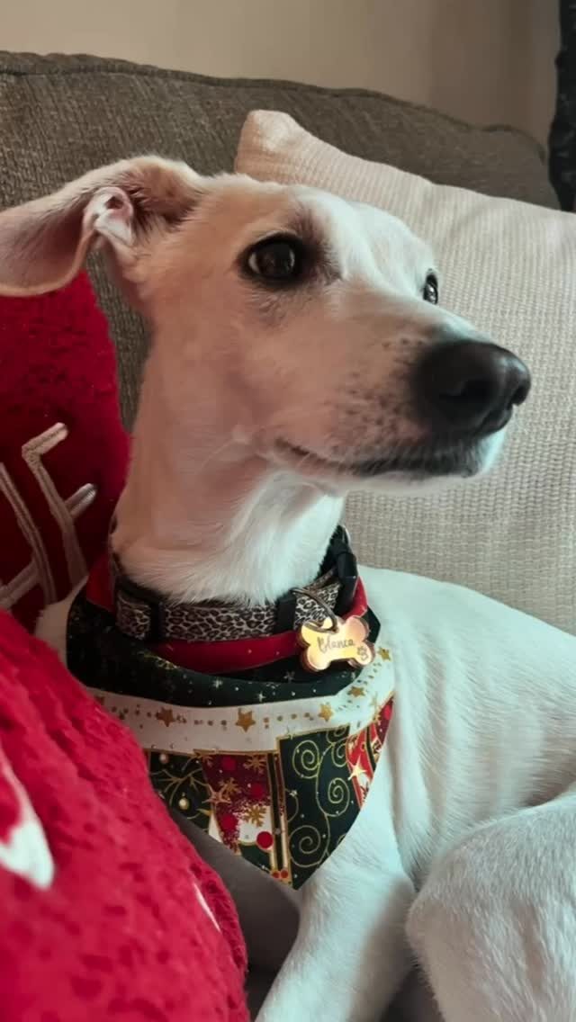 Instagram post from garabato_digital. This post is in position 5.